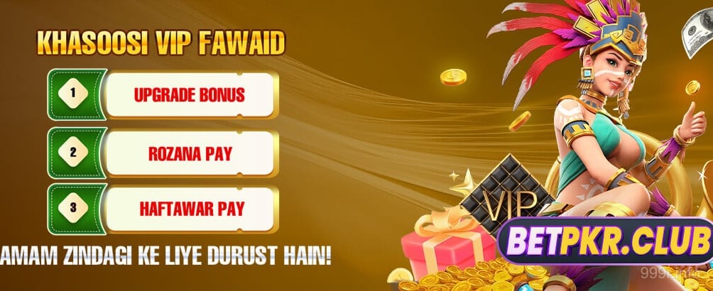 Enjoy Daily Bonuses and Promotions